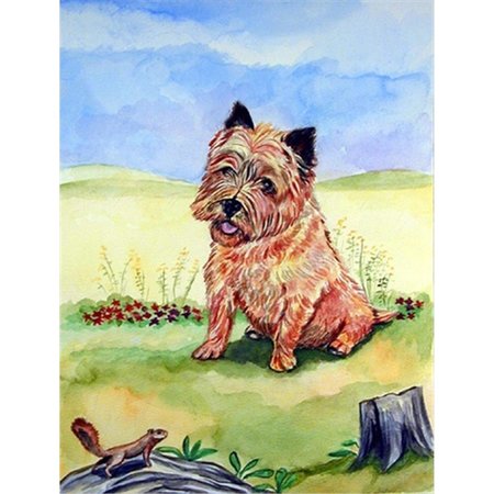 28 X 40 In. Cairn Terrier And The Chipmunk Flag Canvas House Size